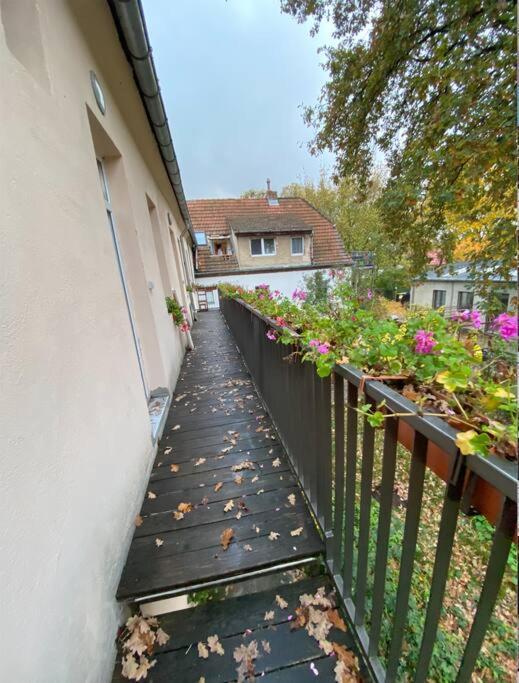 And Comfortable In Pankow Appartement Berlijn