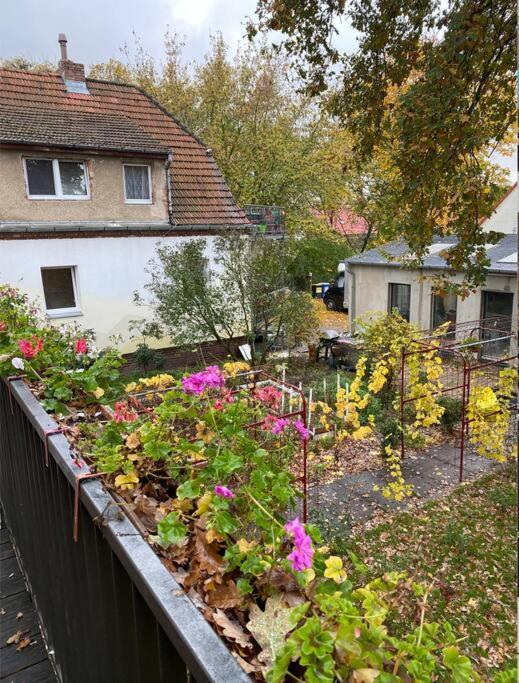 Appartement And Comfortable In Pankow